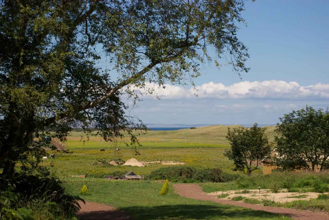 Villa Harvest Moon Treehouse Dunbar Exterior foto